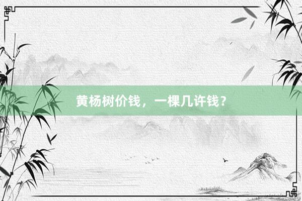 黄杨树价钱,一棵几许钱?