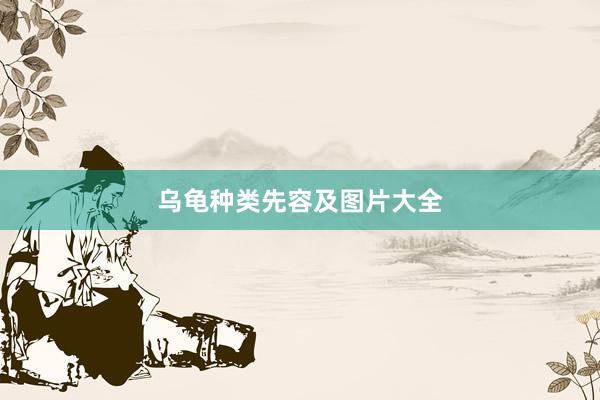 乌龟种类先容及图片大全